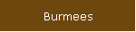 Burmees
